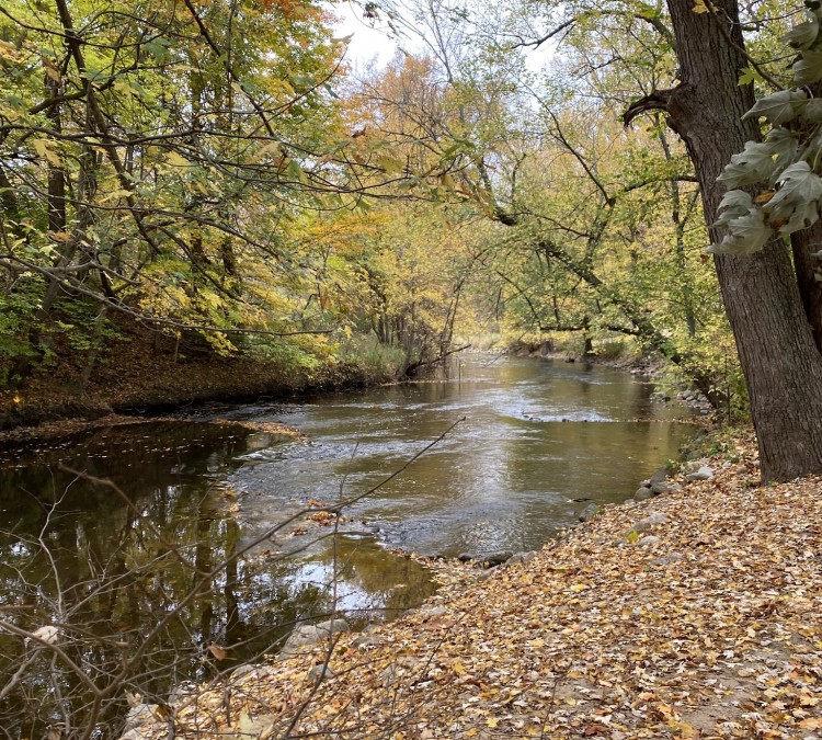 coldwater-river-county-park-photo